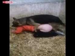 246px x 184px - Videos porno de mujeres follando con animales y sexo con bestias